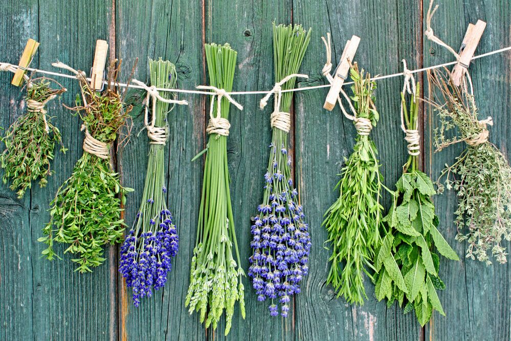 herbs for good luck and happiness